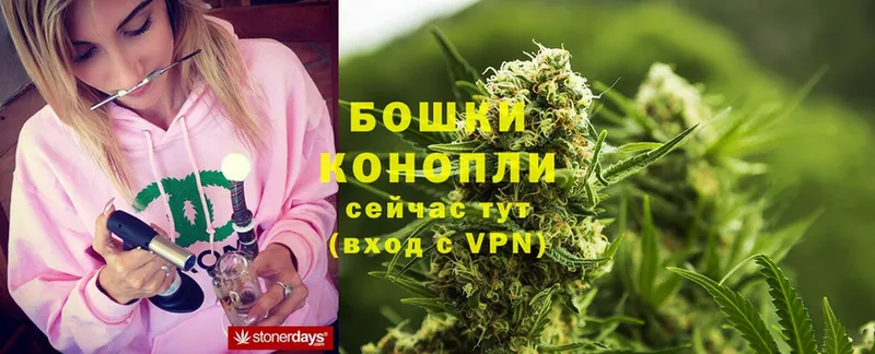 купить  цена  Новомосковск  Марихуана LSD WEED 